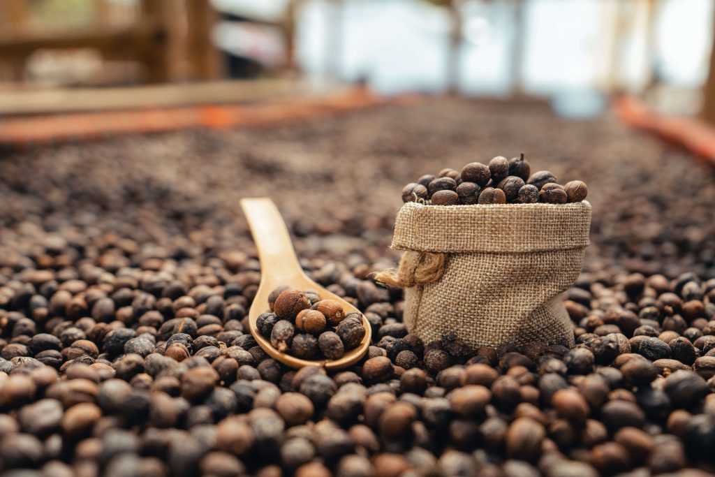 Fresh beans from the coffee plantation | Source: Art Rachen