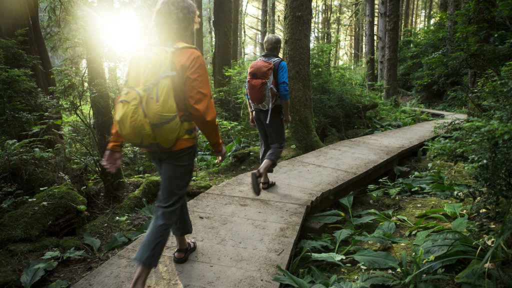 Go hiking through a redwood forest in Sausalito, California | Source: Lonely Planet