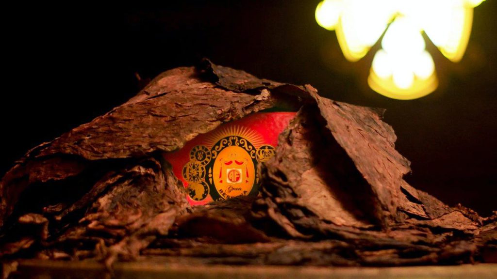 Arturo Fuente's pink-hued tobacco | Source: Cigar Aficionado