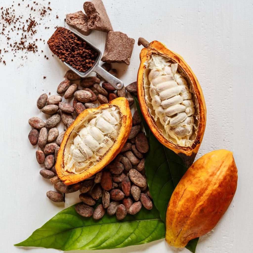 Tasting notes of cocoa | Source David Vanille