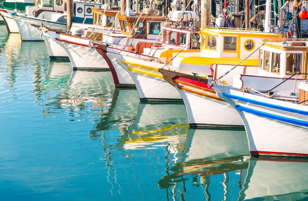 Colorful sailboats across docked in San Francisco Bay | Source: Mirko Vitali