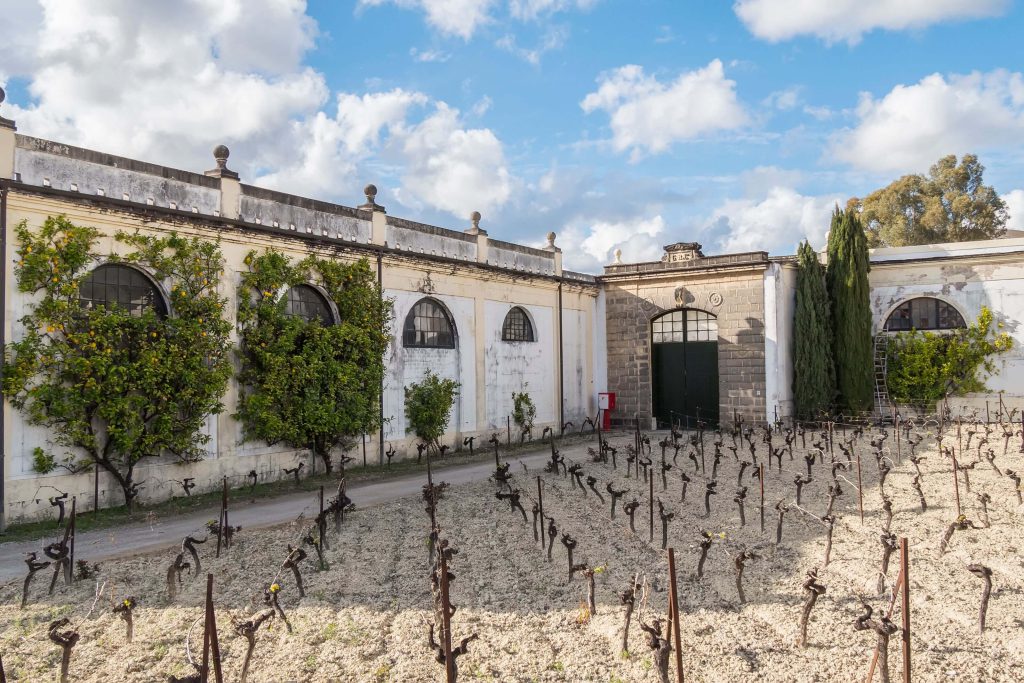 Wine cellar in Jerez de la Frontera, Spain | Source: Wirestock