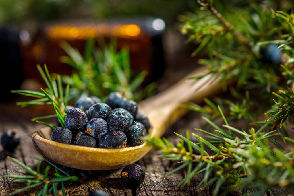 Juniper berries