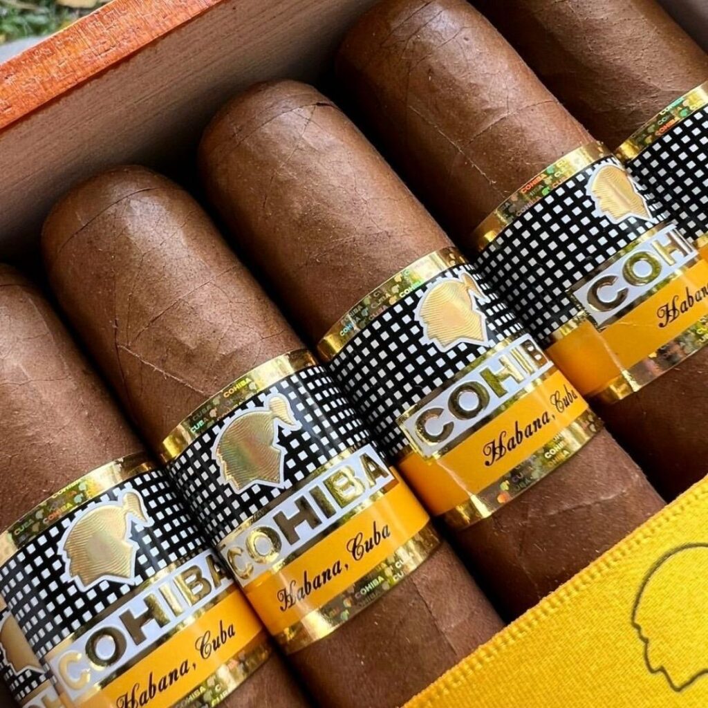 Cohiba Siglo VI