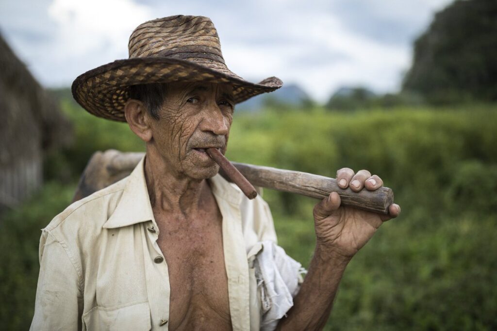 Cuban tobacco farmer smoking a cigar